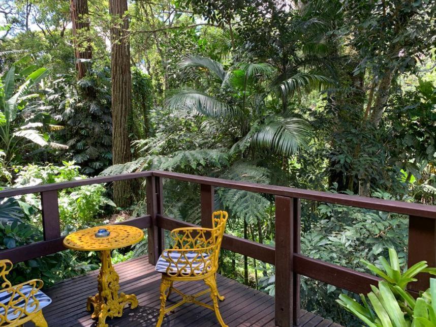 Bromelia Sabia & Cia Hotel Teresópolis Exterior foto