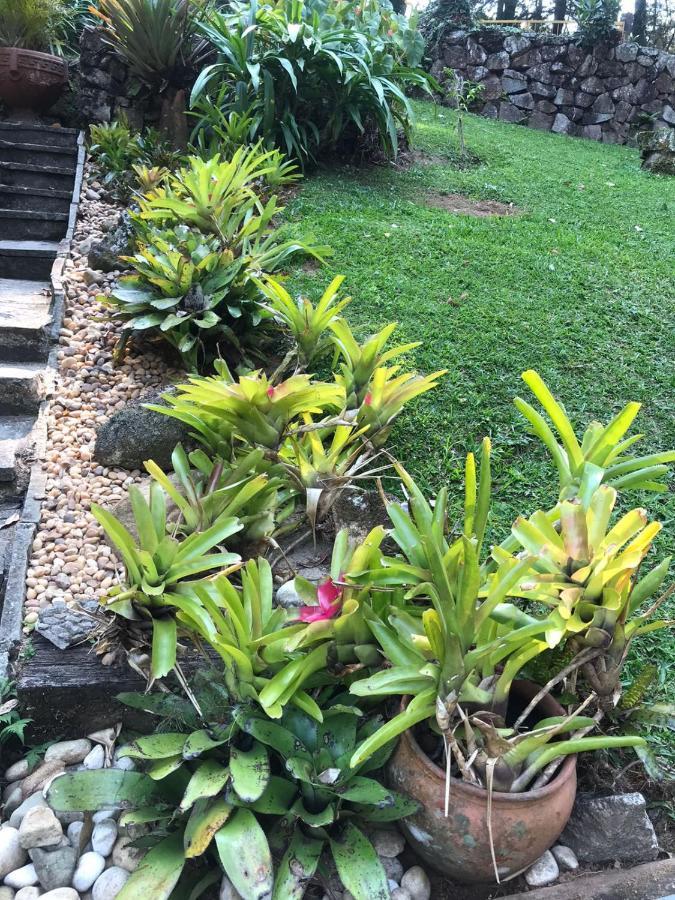 Bromelia Sabia & Cia Hotel Teresópolis Exterior foto