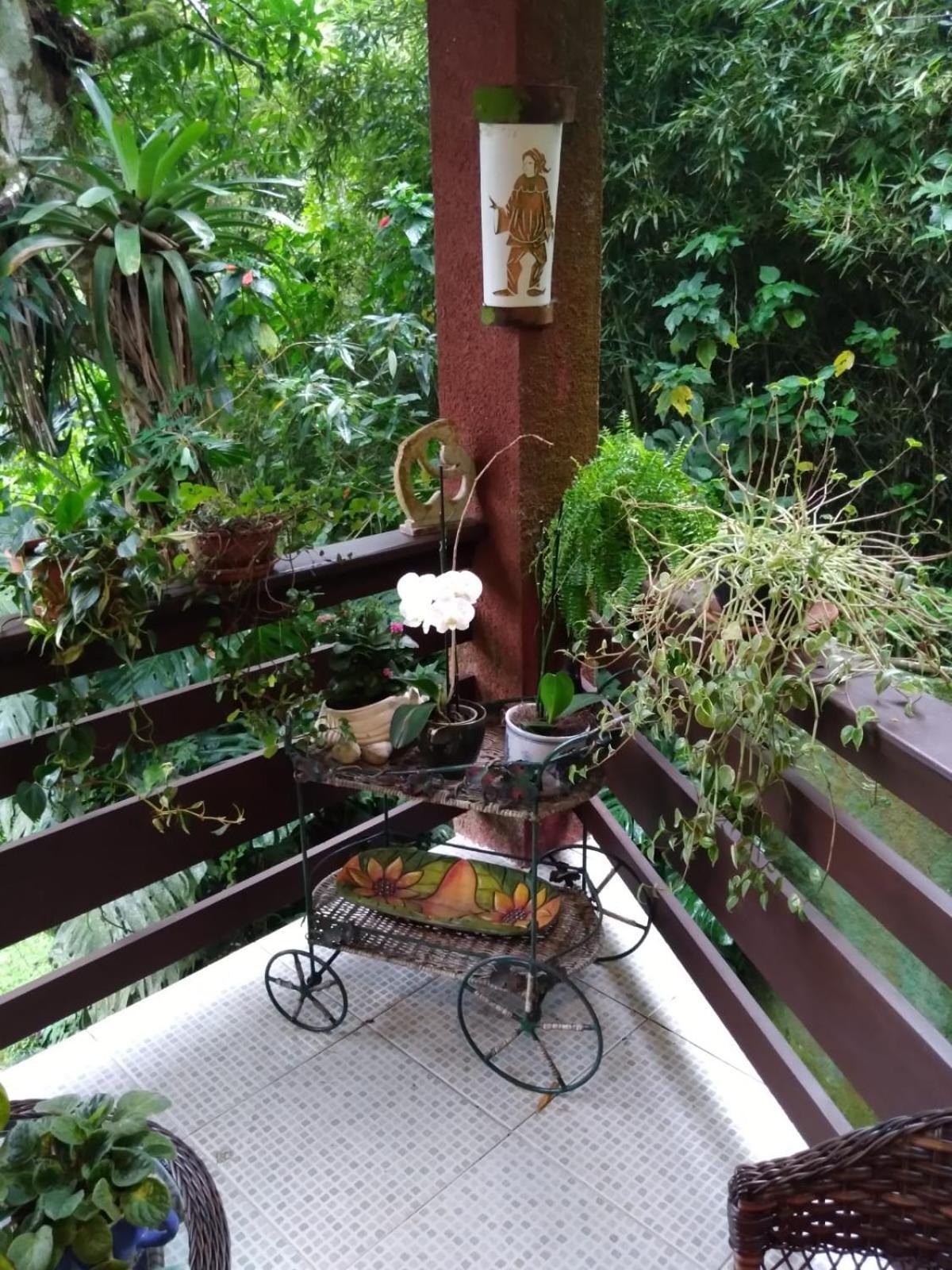 Bromelia Sabia & Cia Hotel Teresópolis Exterior foto
